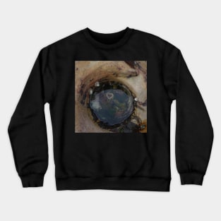 Rock Pool with Sea Anemone Crewneck Sweatshirt